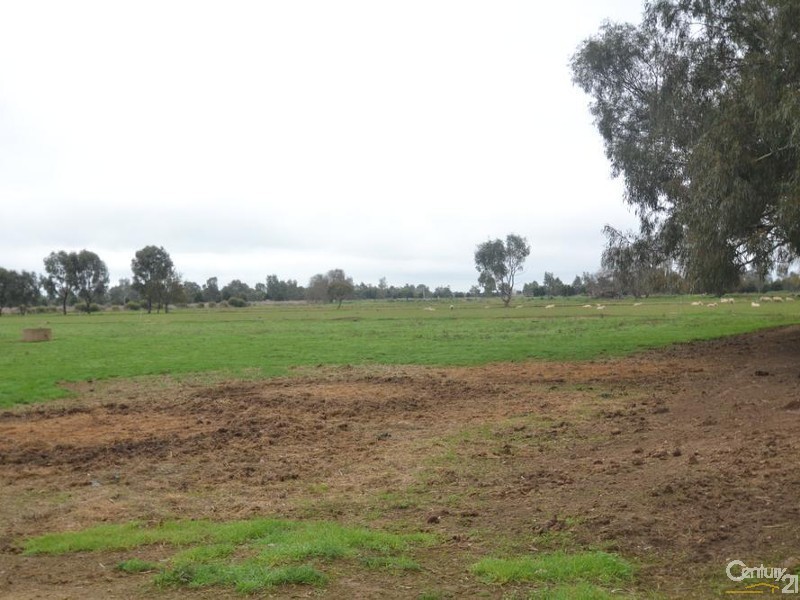 307 Kervins Road, Cohuna VIC 3568