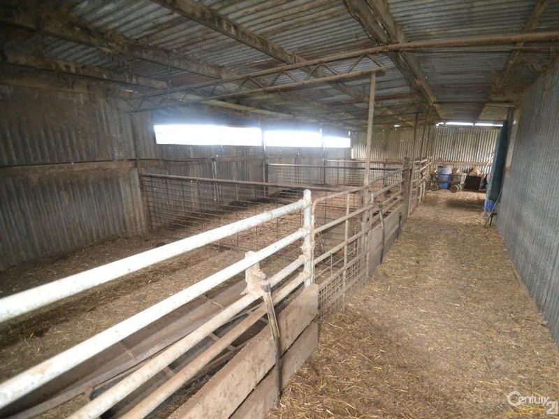 307 Kervins Road, Cohuna VIC 3568