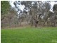 119 Pianta Road, Echuca VIC 3564