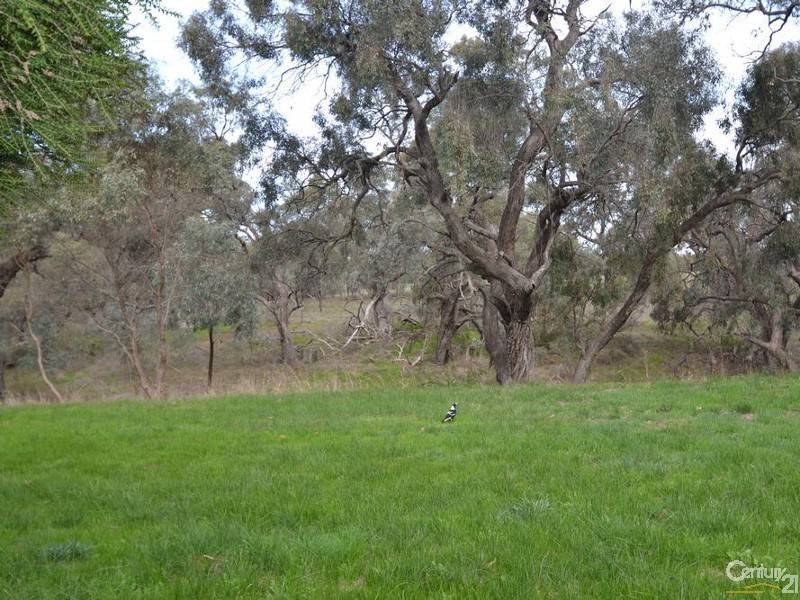 119 Pianta Road, Echuca VIC 3564
