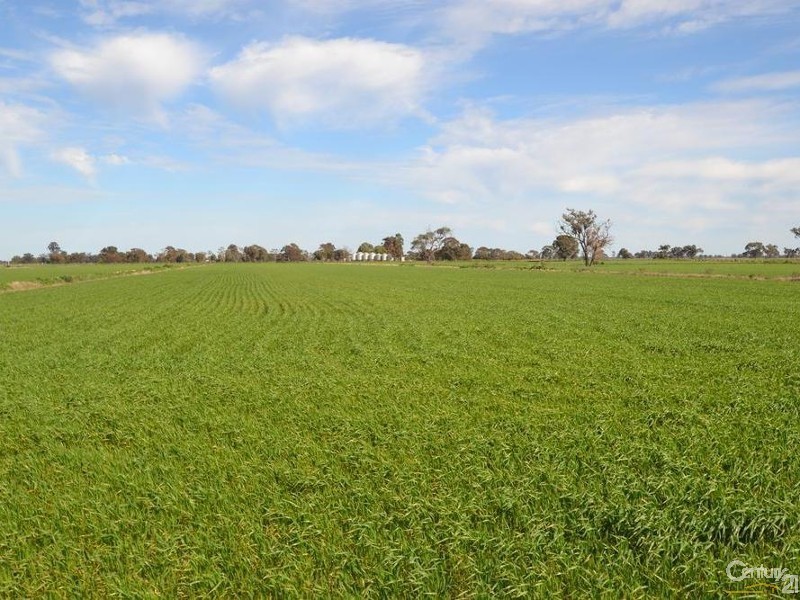 Wakool Road, Barham NSW 2732