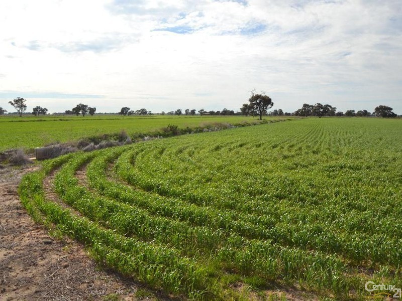 Wakool Road, Barham NSW 2732