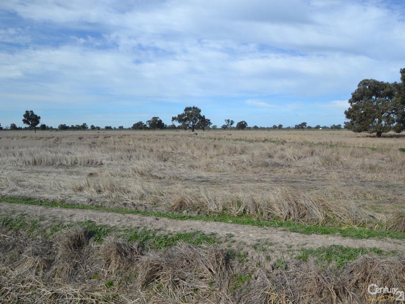 Wakool Road, Barham NSW 2732