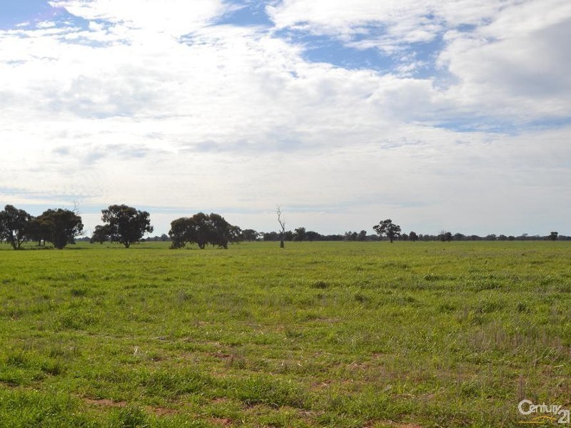 Lot 119 Barham – Wakool Road, Barham NSW 2732