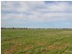 Lot 119 Barham – Wakool Road, Barham NSW 2732