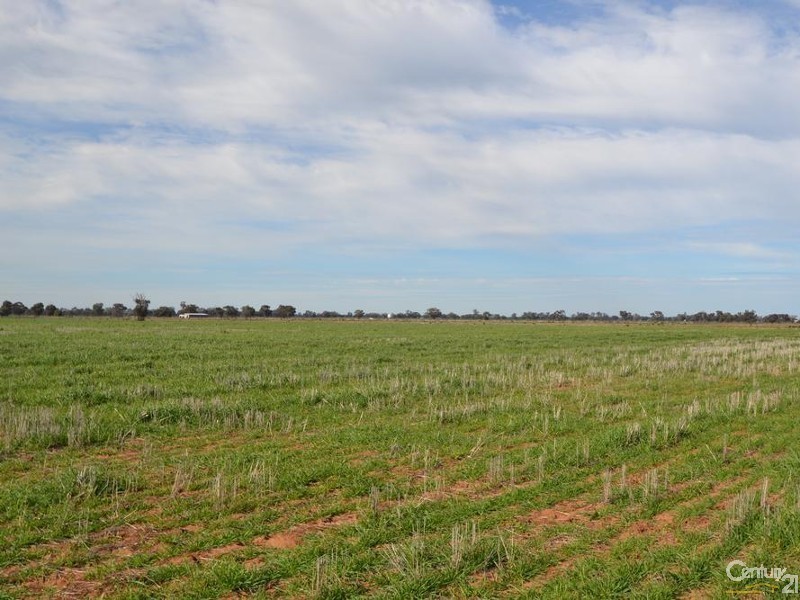 Lot 119 Barham – Wakool Road, Barham NSW 2732