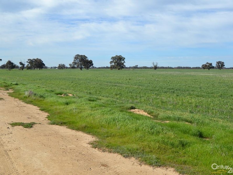 Lot 119 Barham – Wakool Road, Barham NSW 2732