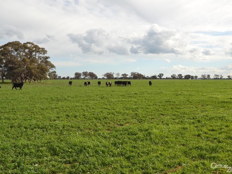 Thyra Road, Moama NSW 2731