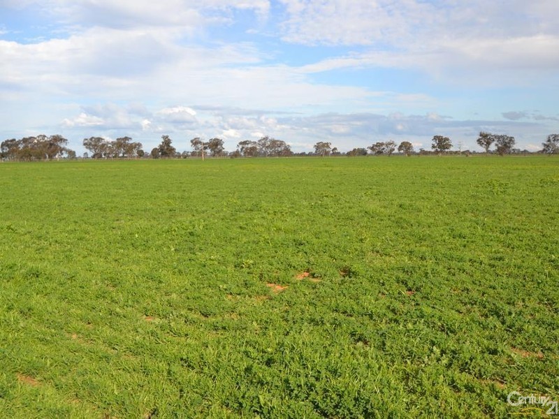 Thyra Road, Moama NSW 2731