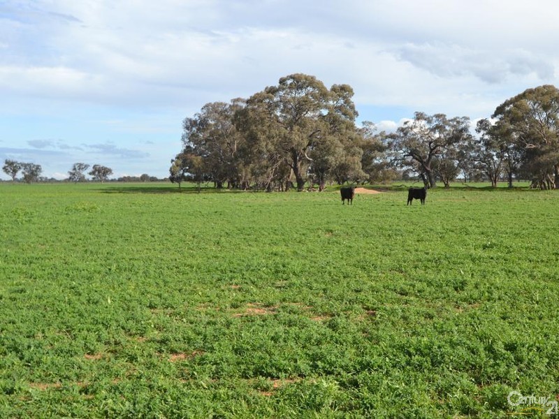 Thyra Road, Moama NSW 2731