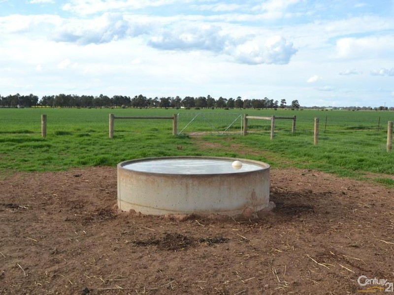 Thyra Road, Moama NSW 2731