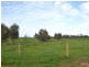 Thyra Road, Moama NSW 2731