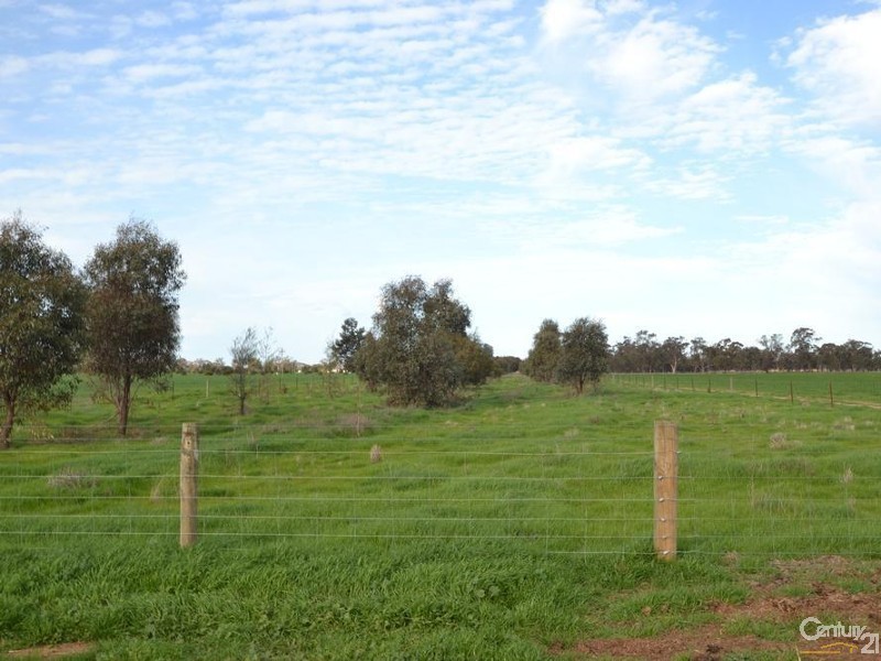 Thyra Road, Moama NSW 2731