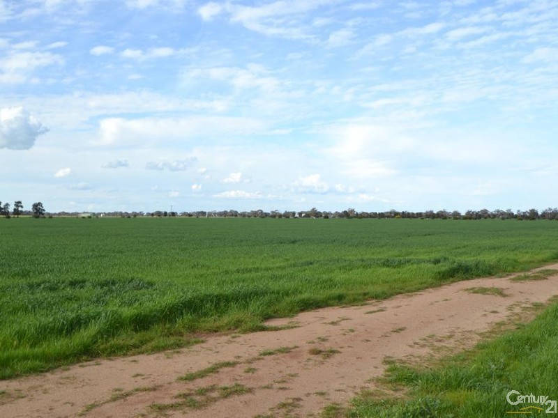 Thyra Road, Moama NSW 2731