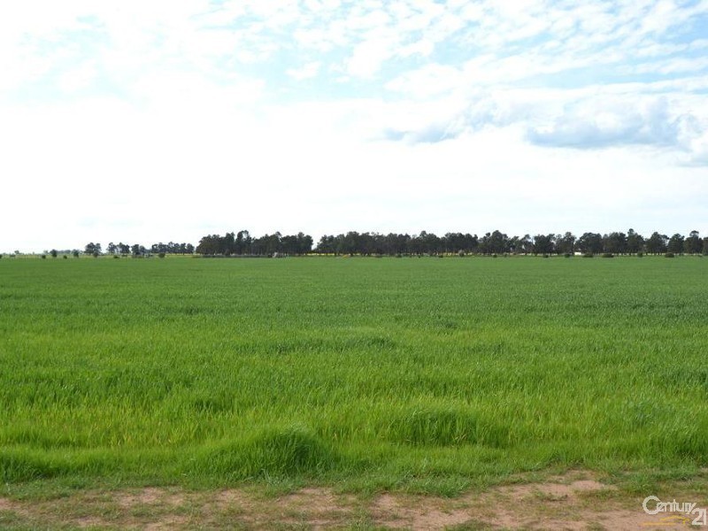 Thyra Road, Moama NSW 2731