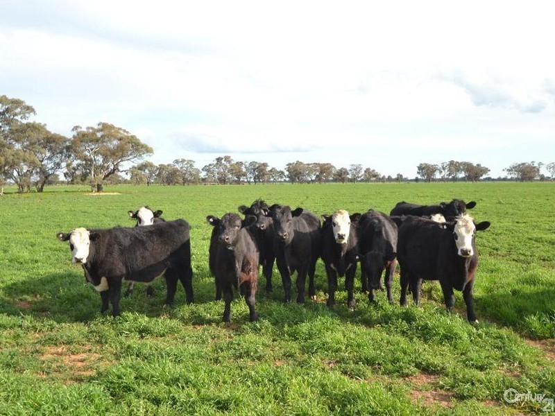Thyra Road, Moama NSW 2731