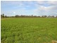 Thyra Road, Moama NSW 2731