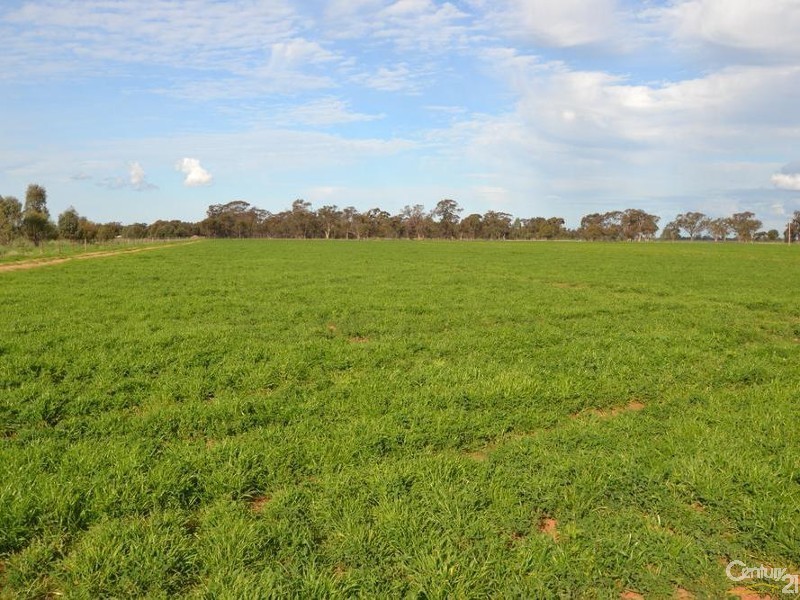 Thyra Road, Moama NSW 2731