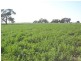RMB 185 Hetherington Road, Deniliquin NSW 2710