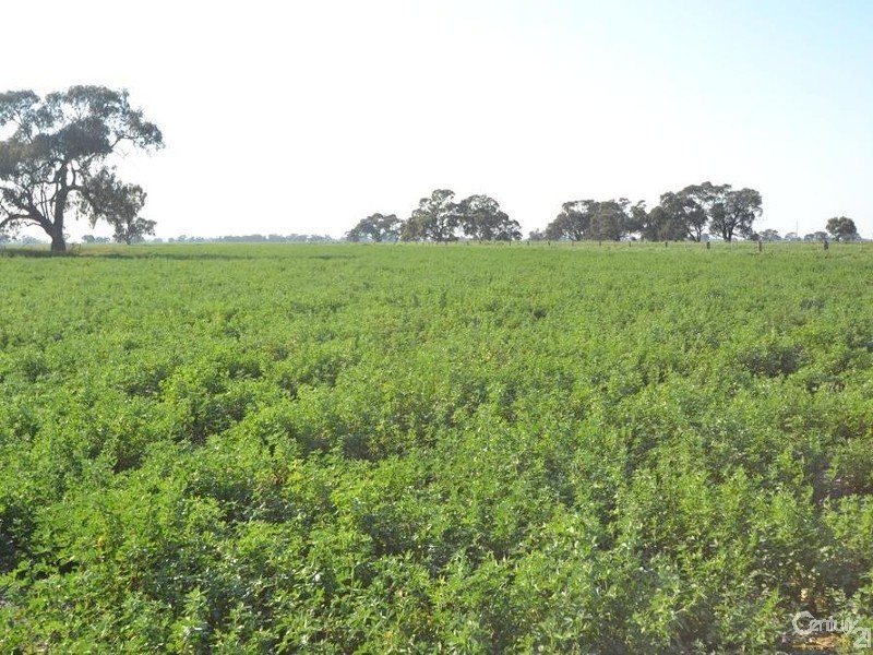 RMB 185 Hetherington Road, Deniliquin NSW 2710