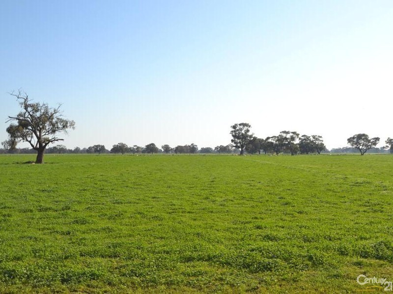 RMB 185 Hetherington Road, Deniliquin NSW 2710