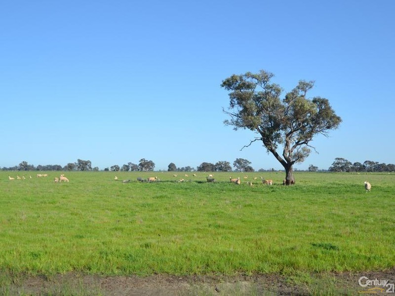 RMB 185 Hetherington Road, Deniliquin NSW 2710