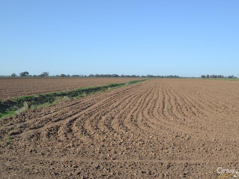 RMB 185 Hetherington Road, Deniliquin NSW 2710