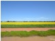 Thyra Road, Moama NSW 2731