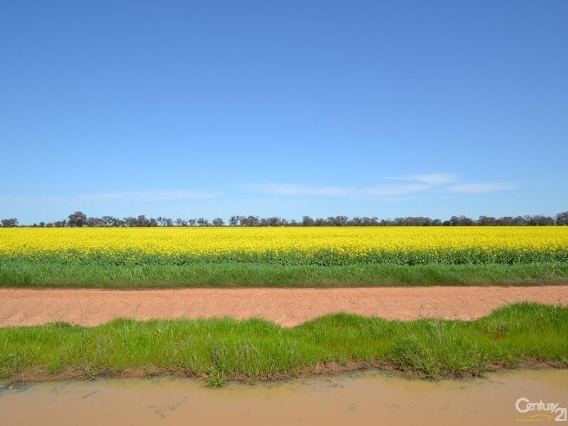 Thyra Road, Moama NSW 2731