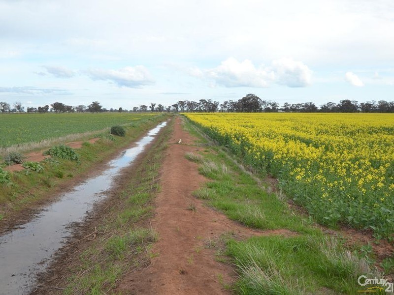 Thyra Road, Moama NSW 2731