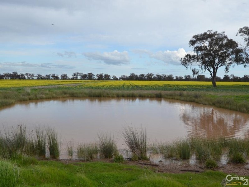 Thyra Road, Moama NSW 2731
