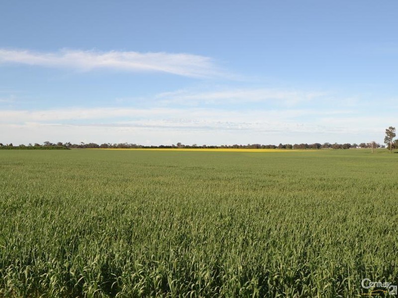 Penderi Moira Road, Moama NSW 2731