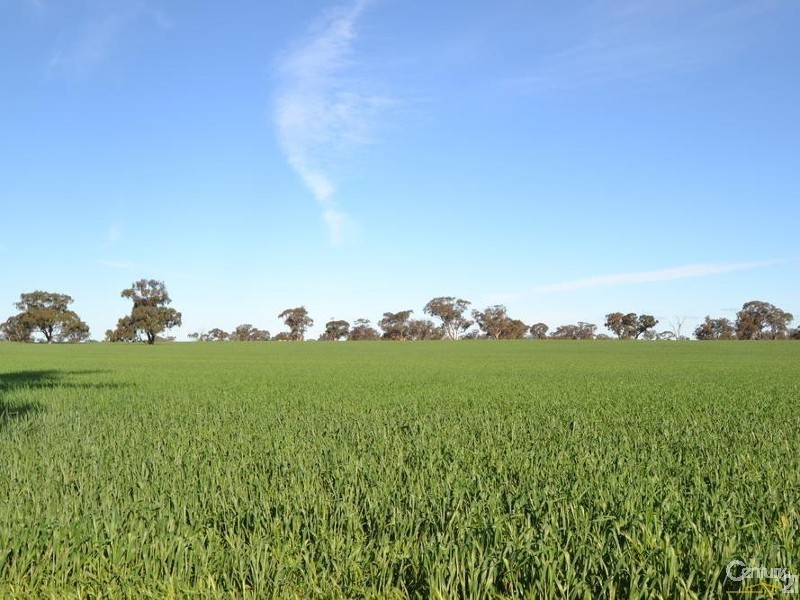 Penderi Moira Road, Moama NSW 2731