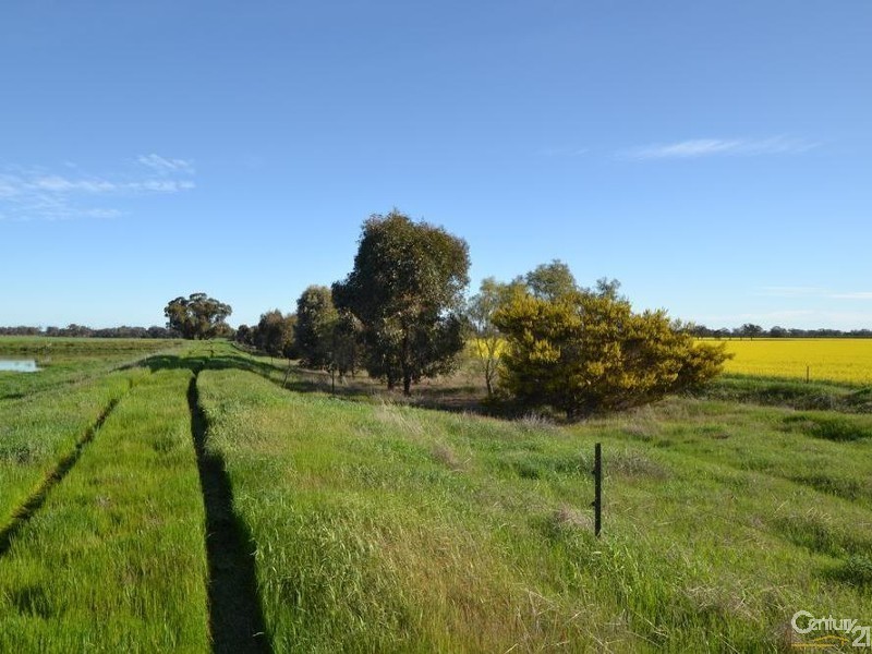 Penderi Moira Road, Moama NSW 2731