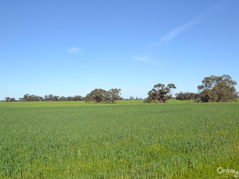 Pine Lodge South Moira Road, Moama NSW 2731