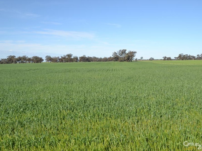 Pine Lodge South Moira Road, Moama NSW 2731