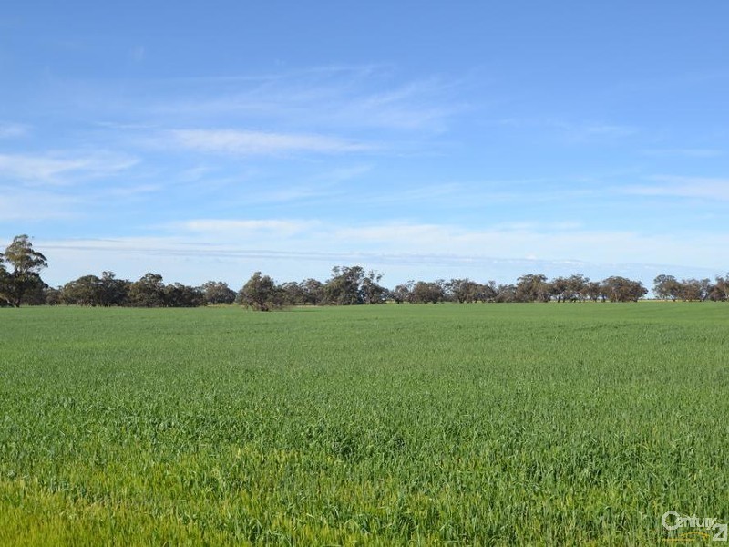 Pine Lodge South Moira Road, Moama NSW 2731