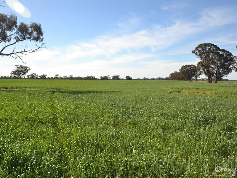 Pine Lodge South Moira Road, Moama NSW 2731