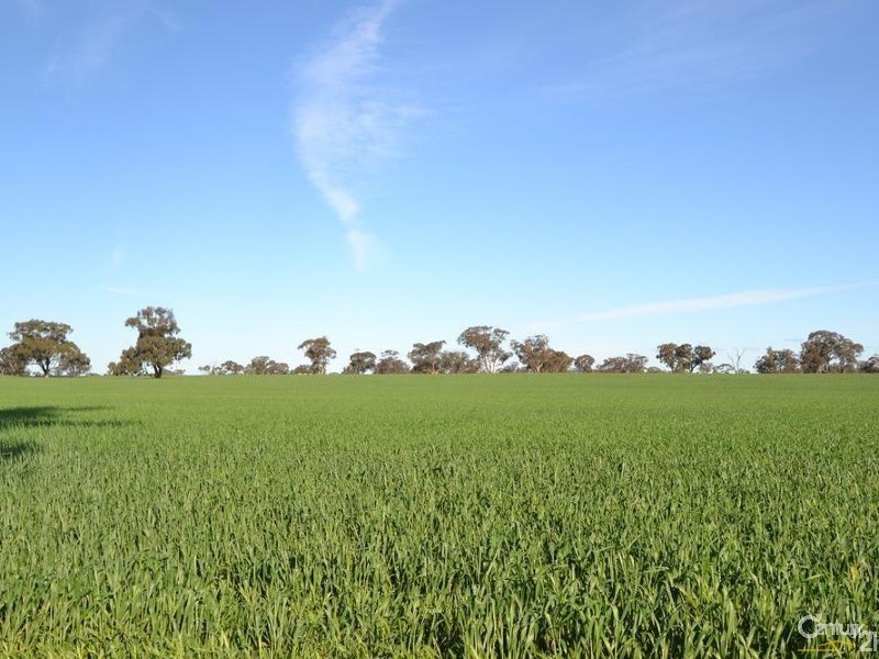 Pine Lodge South Moira Road, Moama NSW 2731