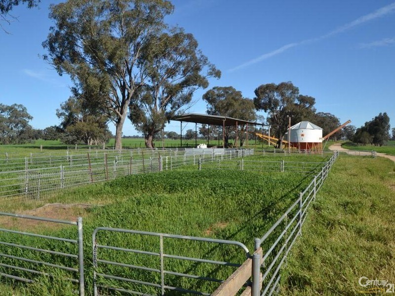 Pine Lodge South Moira Road, Moama NSW 2731