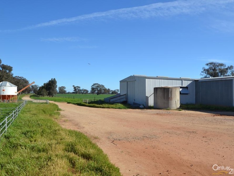 Pine Lodge South Moira Road, Moama NSW 2731