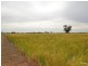 Merrybank Thyra Road, Moama NSW 2731