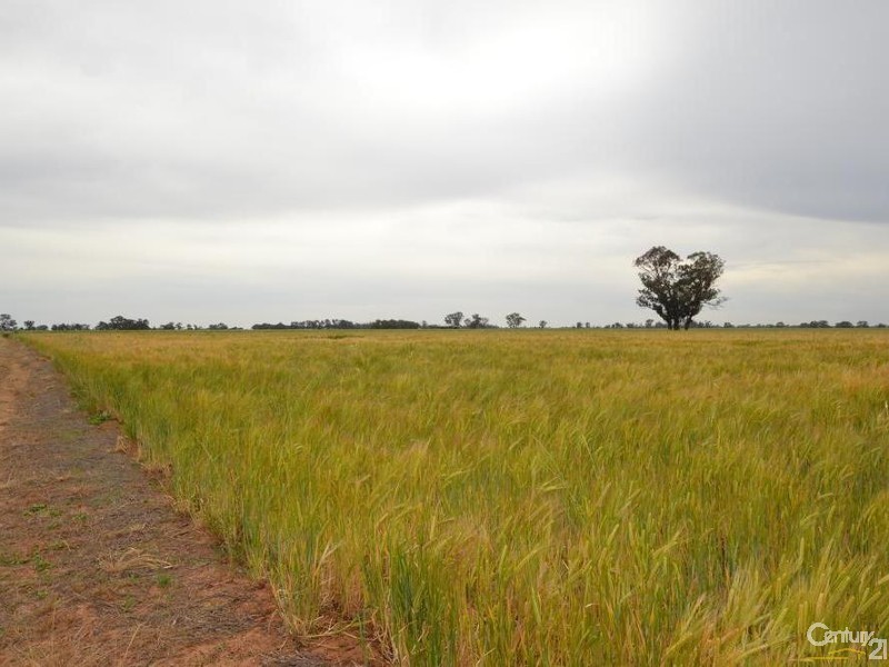 Merrybank Thyra Road, Moama NSW 2731