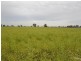Merrybank Thyra Road, Moama NSW 2731