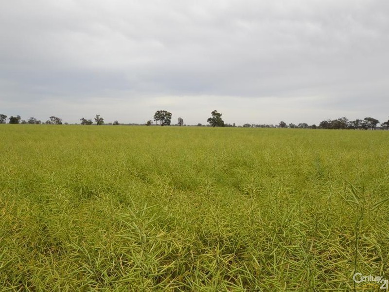 Merrybank Thyra Road, Moama NSW 2731