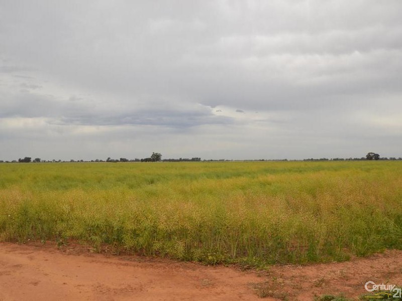 Merrybank Thyra Road, Moama NSW 2731