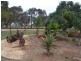 Merrybank Thyra Road, Moama NSW 2731