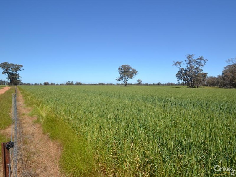 Gilmores Perricoota Road, Moama NSW 2731