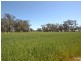 Gilmores Perricoota Road, Moama NSW 2731