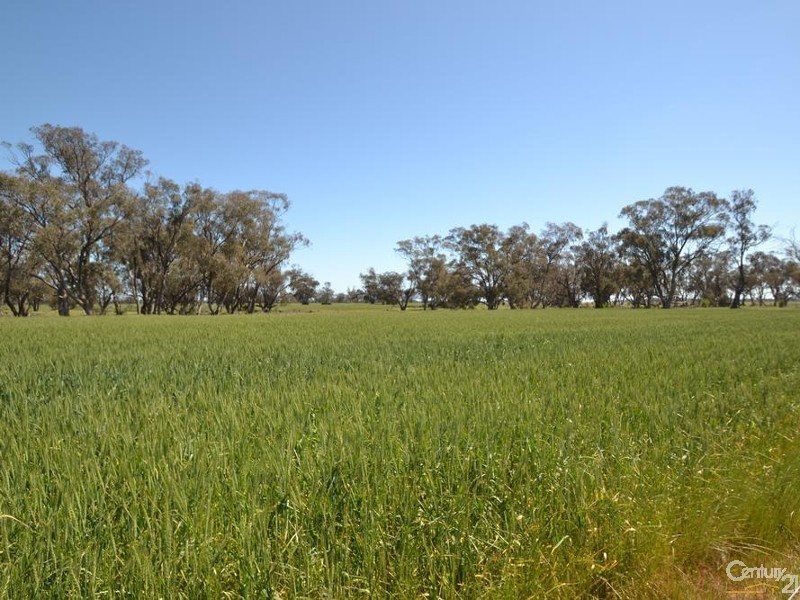 Gilmores Perricoota Road, Moama NSW 2731